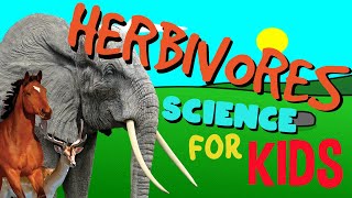 What is a Herbivore  Science for Kids [upl. by Hey]