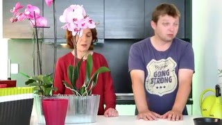 GROWSHOW  jak na úspěšné pěstování orchidejí [upl. by Atsillak]