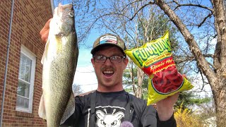 Flamin HOT Walleye Catch N Cook CRAZY GOOSE ATTACKS [upl. by Irv]