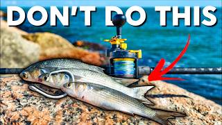 Do Not Go Jetty Fishing without Knowing THIS First  Cut Bait Fishing DEEP [upl. by Spencer]