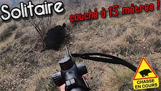 Chasse Sanglier  SOLITAIRE pour une ACTION de DINGUE [upl. by Millur]