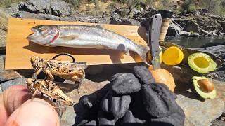 Solo Catch and Cook Trout in a Rock Oven  New Bait Works Every Time [upl. by Grover]