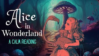 Reading of Alice in Wonderland  full audiobook  Story Reading for Sleep  Relaxing Reading [upl. by Barclay]