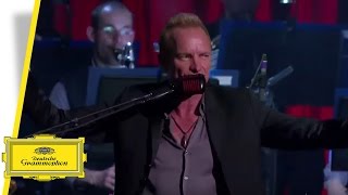 Sting  Desert Rose  Royal Philharmonic Concert Orchestra Live in Berlin [upl. by Marla]