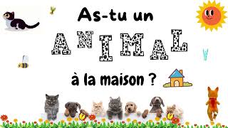 Astu un animal à la maison Do you have any pets Song for teaching and learning French [upl. by Arch]