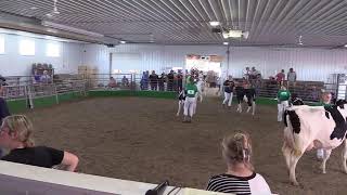 2023 4H and FFA Dairy Show [upl. by Nosirb522]