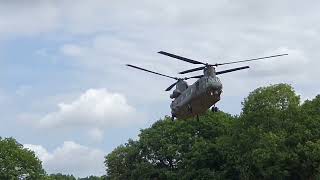 chinnock landing at Capel Military show [upl. by Maxim968]