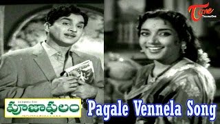 Pooja Phalam Movie Songs  Pagale Vennela  ANR  Savitri  Jamuna [upl. by Griffiths200]