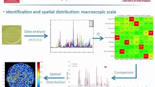 Raman Hyperspectral Imaging An Essential Tool in the Pharmaceutical Field [upl. by Preuss]