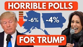 Trump dropping in Iowa and Alaska polls Can Kamala Harris win these states [upl. by Aneleh]