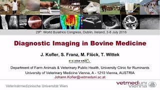 Diagnostic imaging in bovine medicine [upl. by Greyso418]