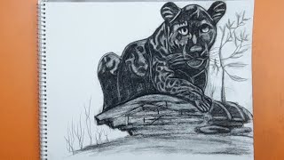 learn how to drawकाला चीता black panther with charcoal pencil charcoaldrawing [upl. by Deevan]