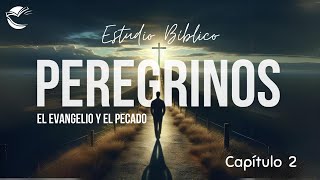 Estudio Peregrinos  Capitulo 2 [upl. by Notwen61]