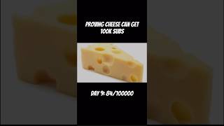 Proving cheese can get 100k subs day 9 cheese [upl. by Hsital741]