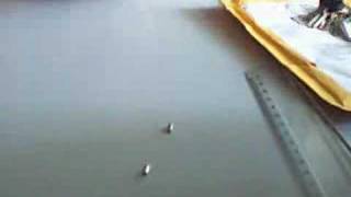 Neodymium Magnets [upl. by Celia]