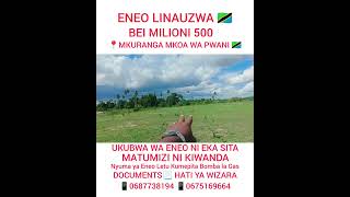 ENEO LINAUZWA 🇹🇿 BEI MILIONI 500📍MKURANGA MKOA WA PWANI📱0687738194📱0675169664 [upl. by Ybrik846]