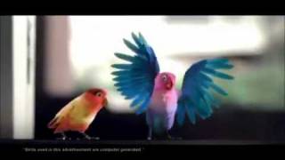 KitKat Love Birds Latest TV Ad  Aao Na Gale Lagao Na 2012 HD Videoflv [upl. by Preston359]