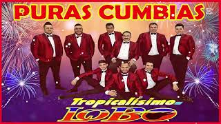 Puras Cumbias Perronas Mix 2024 🌹💃🎵 Tropicalisimo LoBo 🎁 [upl. by Yukio501]