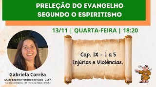 CAP IX  Itens 1 a 5 Injúrias e Violências  Gabriela Corrêa  G E Francisco de Assis [upl. by Asemaj]