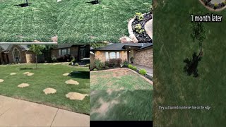 1 month progress after spot leveling my front yard  Day 30 [upl. by Eisserc69]