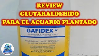 REVIEW GLUTARALDEHIDO PARA EL ACUARIO PLANTADO eficaz antialgas y co2 [upl. by Shea]