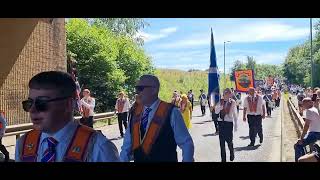 Pride of the village Thornliebank flute band  Central Scotland boyne celebrations 2022 [upl. by Colwell914]