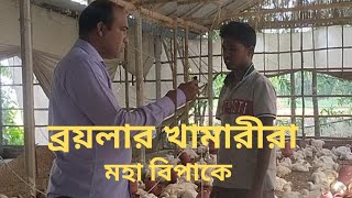 ব্রয়লার মুরগী পালনে লাভ  লোকসানের হিসাব  Broilar Murgi Paloner Profit amp Loss  By Khamari TV [upl. by Ernestus]