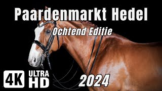 Paardenmarkt Hedel 2024  Rond half 6 s morgens  04112024  4K Ultra HD 60FPS [upl. by Ferriter]