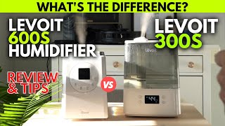 LEVOIT 300S vs LV600S Humidifier Long Term Review amp Comparison [upl. by Hpesojnhoj]