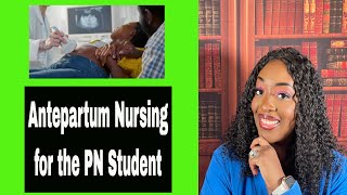 Antepartum Nursing for the PN Student [upl. by Kwabena755]