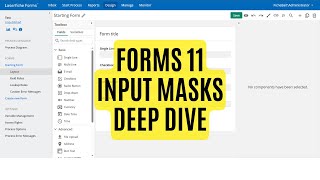 Forms Input Masks Deep Dive [upl. by Orlan431]