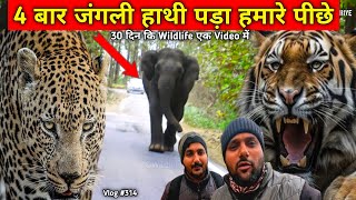 हाथी भागा बाइक के पीछे 😰❌ 30 Days Bike Ride In Jungle  Daily Moto Vlog By Splendor Plus 100cc Bike [upl. by Azitram165]