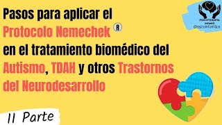 Cómo aplicar el PROTOCOLO NEMECHEK en el tratamiento biomédico del AUTISMO TDAH y otros trastornos [upl. by Georgine]