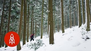 Ascending South Korea’s Most Respected Mountain [upl. by Modesty92]