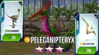 Pelicanipteryx Pelecanimimus Hatzegopteryx  Jurassic World The Game [upl. by Tristan]