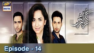 Guzarish Episode 14  ARY Digital Drama [upl. by Gare]