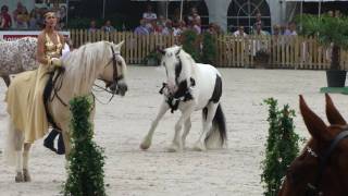 Paard los op hollands next top horse finale [upl. by Drarig412]