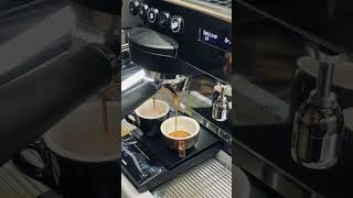 Brewing with allegra lyra latteart barista coffee [upl. by Atin254]