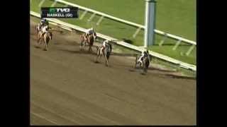 Paynter Wins The 2012 Haskell Invitational Stakes [upl. by Onoitna889]