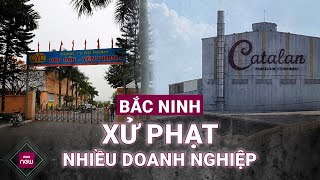 Bắc Ninh xử phạt nặng 3 doanh nghiệp vì cố tình vi phạm quy định bảo vệ môi trường VTC Now [upl. by Gabie]