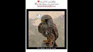 Masha Allah g Mary Allahpak ki Qudrat music arabic explore cover amwajisland qeshm hajarmount [upl. by Danielle]