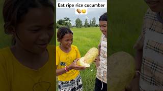 Eat ripe rice cucumber🥔🤤 food wildrice eatwild edit eatingfood ripericecucumber wildfruit [upl. by Liris]