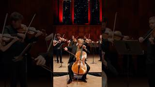 Haydn’s virtuosic cello concerto ❤️ classicalmusic [upl. by Annabela]