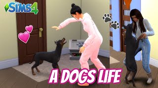 Playing as a Dog in the Sims 4  Playable Pets Mod [upl. by Sachsse]