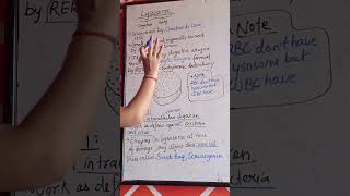 Lysosome ctet biology pgt dssb neet kvs studyadda science [upl. by Johna]