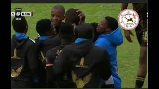 Royal AM vs Sekhukhune United 2 minutes Extended Highlights [upl. by Macknair]