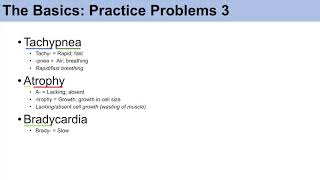 Medical Terminology  The Basics  Lesson 1  Practice and Example Problems [upl. by Lindeberg672]