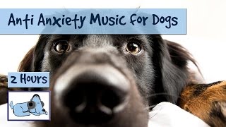 Anti Anxiety Music for Dogs  Cure Separation Anxiety with Dog Music [upl. by Avigdor454]