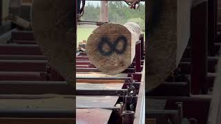 Yellow Pine Cut Into 8x8 For Multimillion Dollar Home  Cooks AC36 sawmill [upl. by Merell]