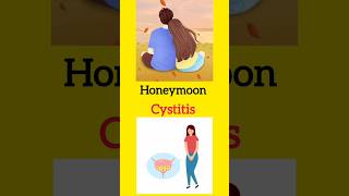 Honeymoon cystitis kya hota h shorts short viralshort couple trending education romantic top [upl. by Evania]